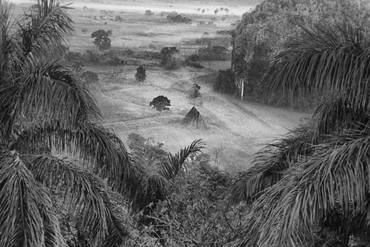 alba con nebbiolina su vinales, Vinales cuba 2002