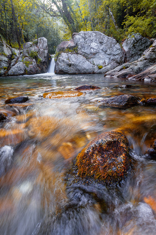 Torrente Crocchio