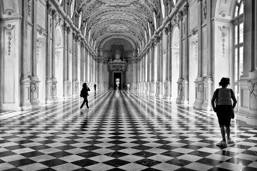 Torino - La venaria reale