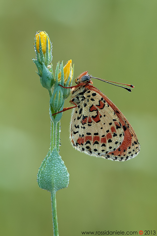 In attesa... del momento...