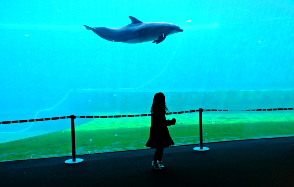 All'acquario di Genova