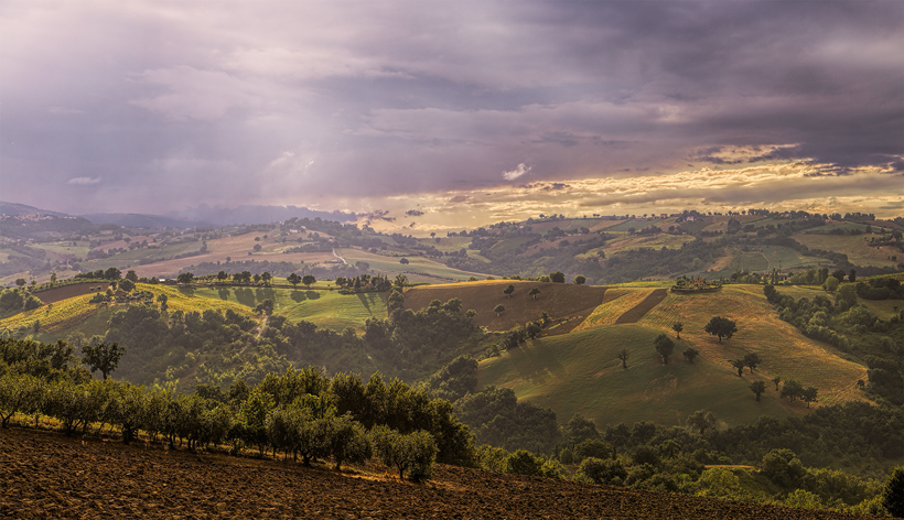 Colline Marchigiane al tramonto
