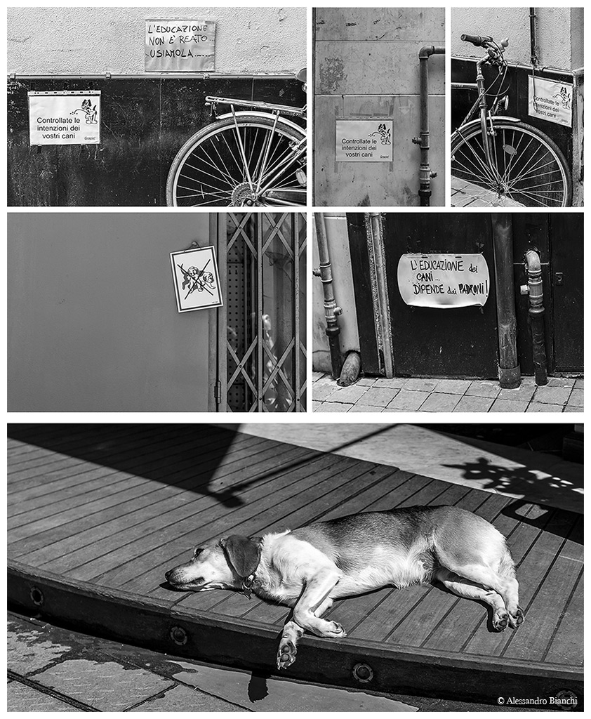 Un paese a prova di fido