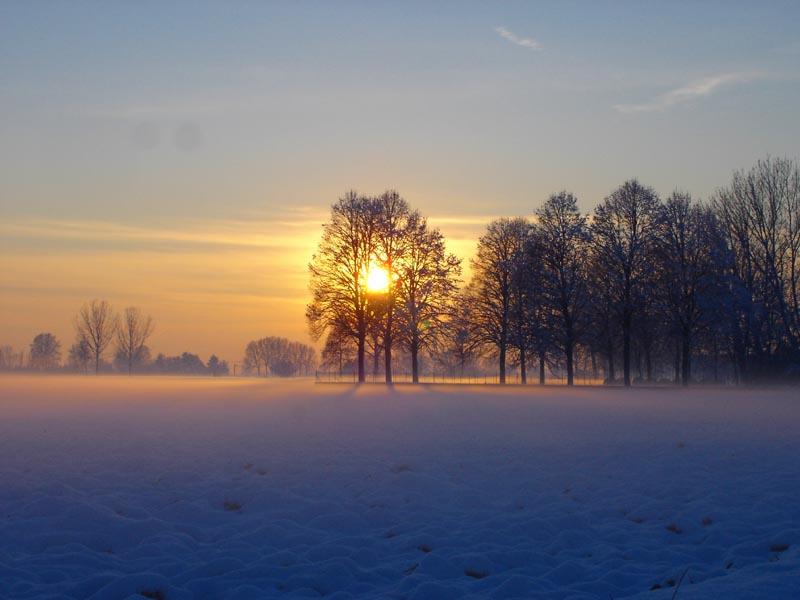 Il giorno si attenuava, continuava ad attenuarsi.... (Dickinson)