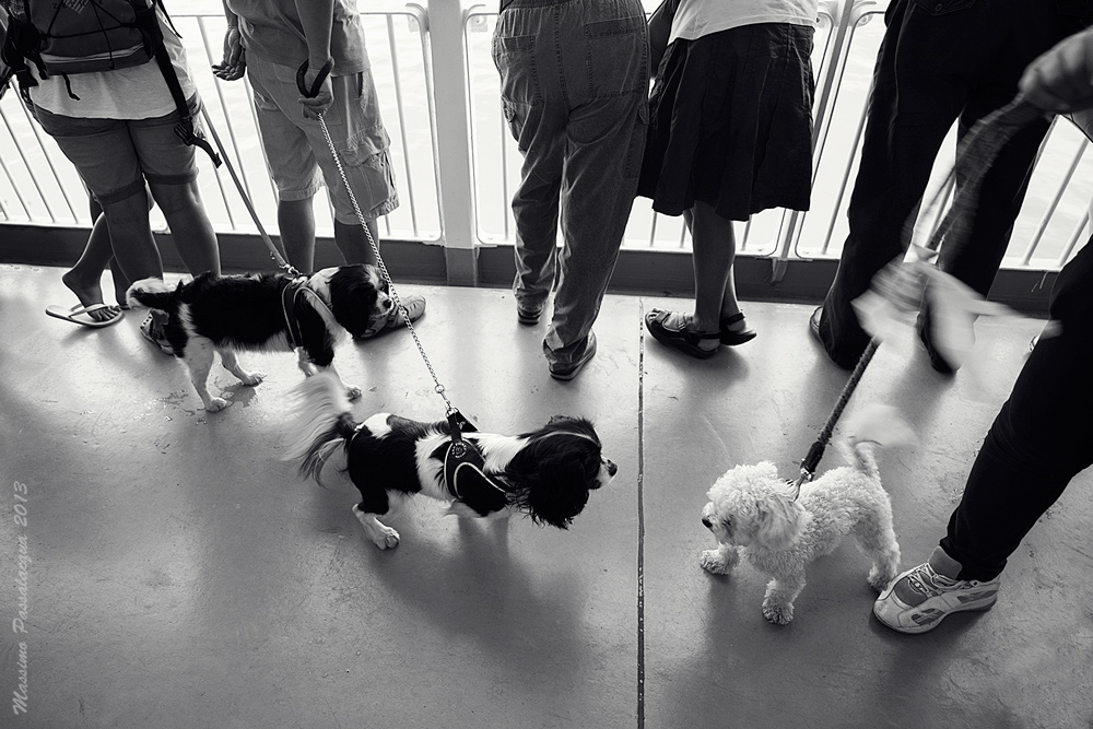 01092013_L1002075-BN2