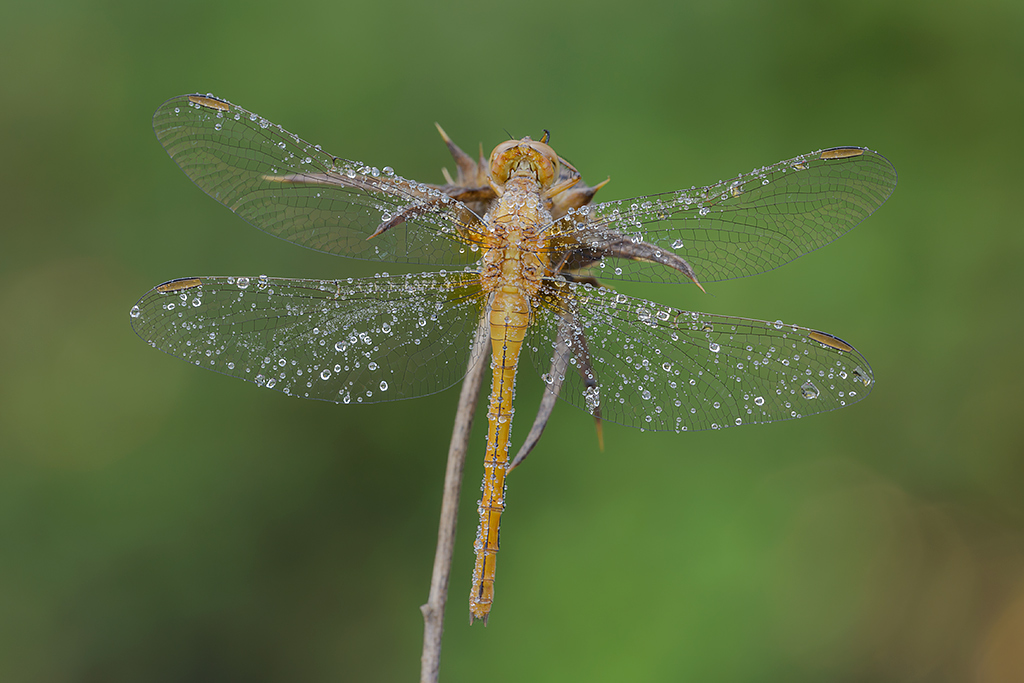 Pochi minuti e si parte!