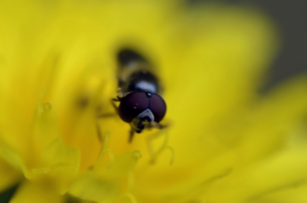 Ho qualcosa negli occhi!!!