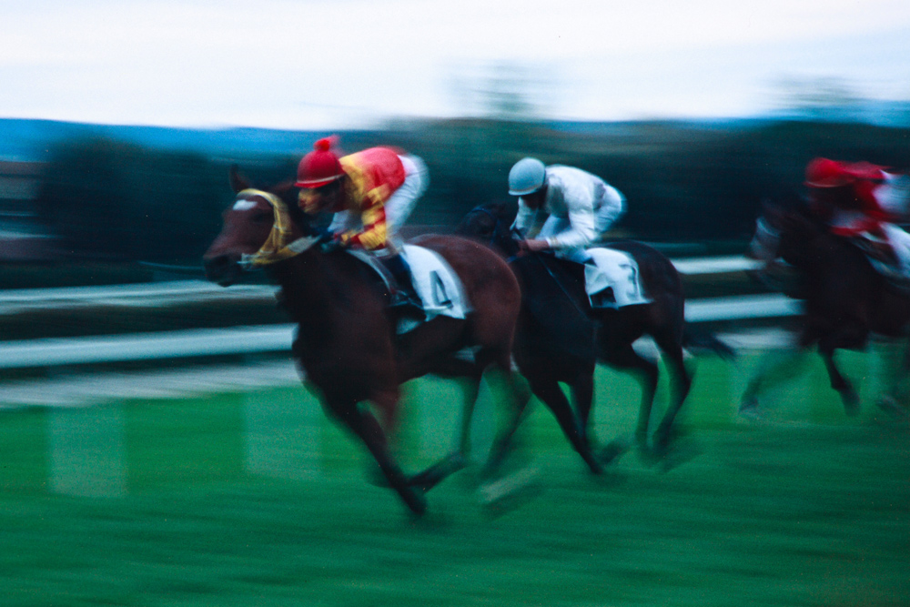 le Cascine - Firenze