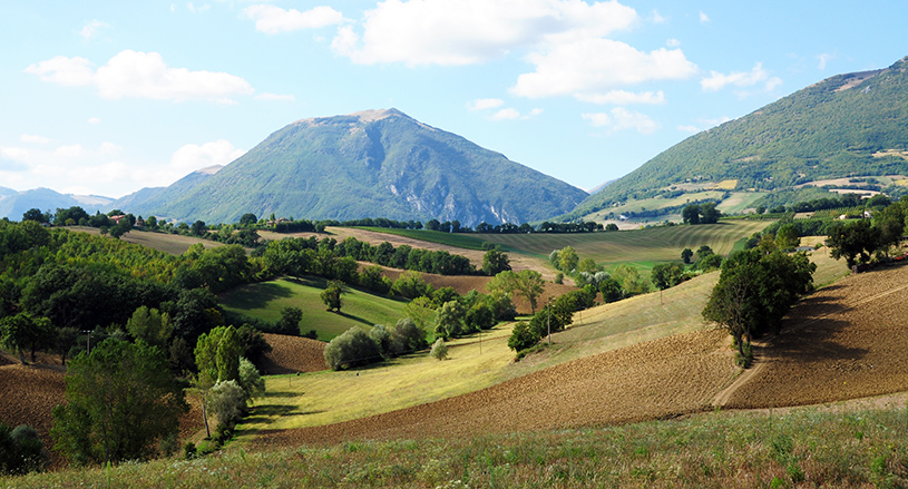 Paesaggio marchigiano