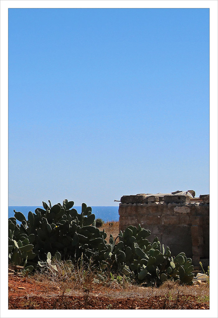 Scorcio di campagna salentina