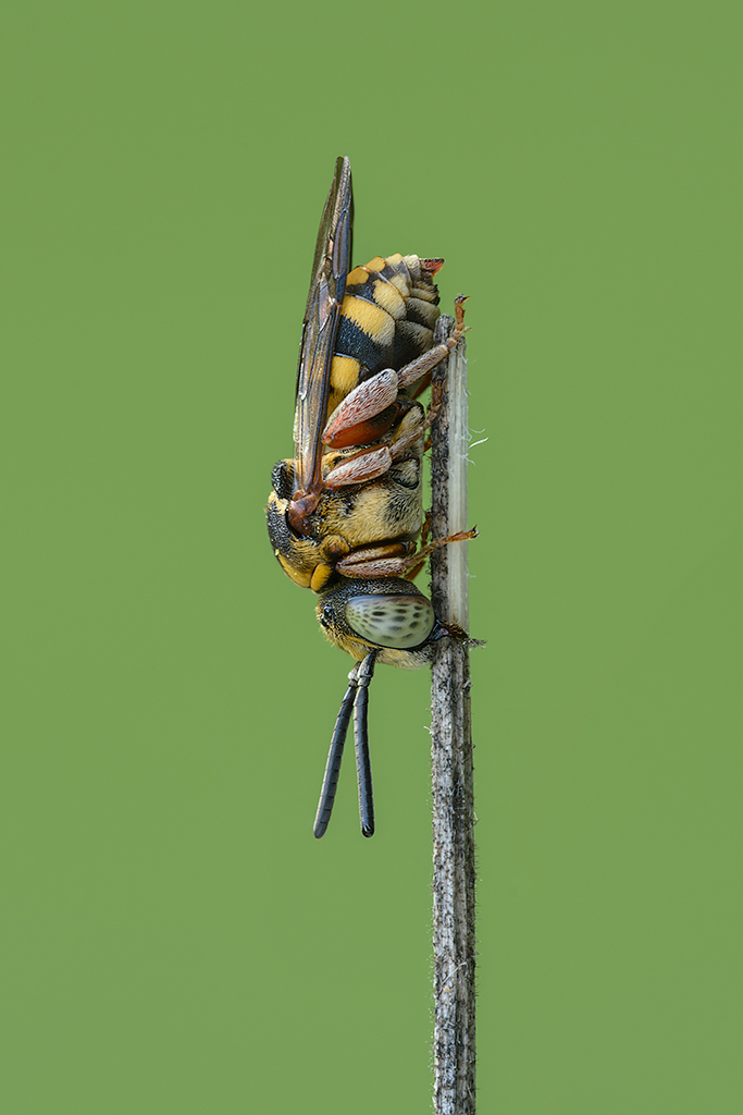 A me piace dormire cos�!