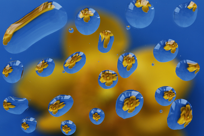 Riflessi multicolori