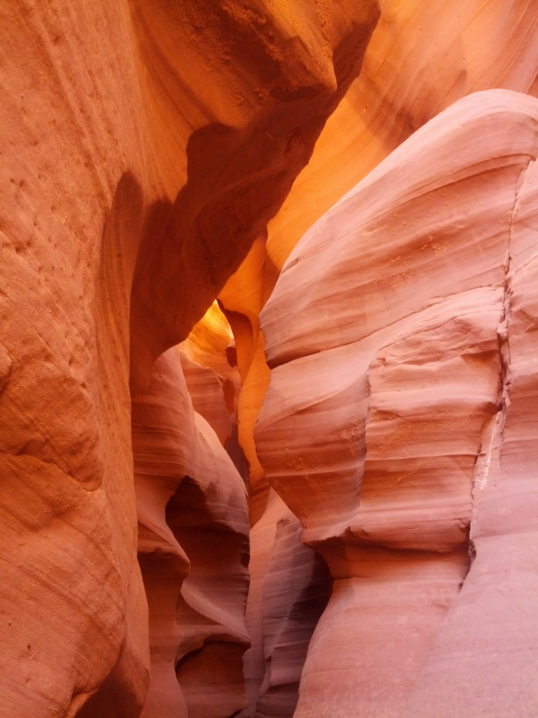 Scherzi della natura