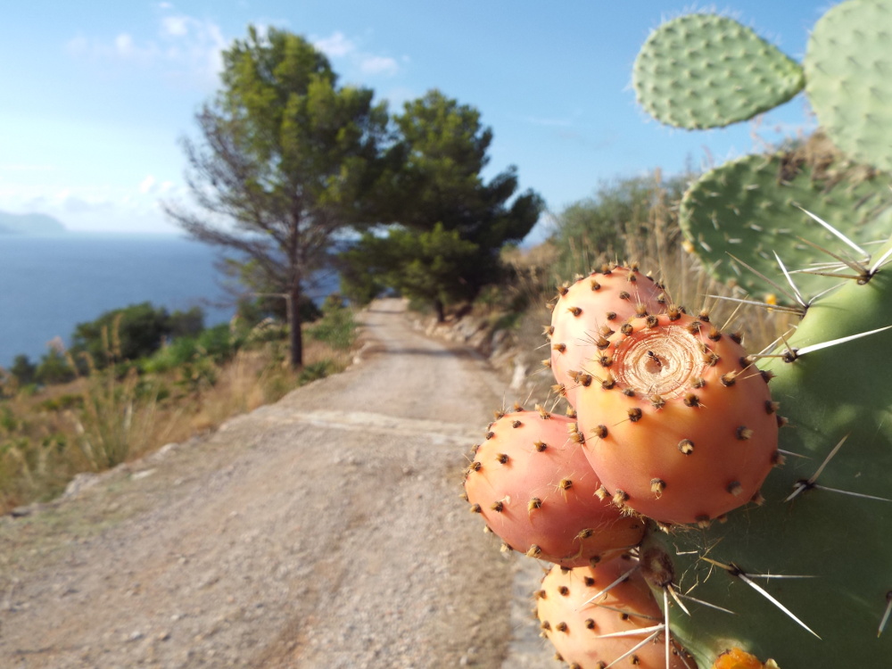 s8200 qualche scatto