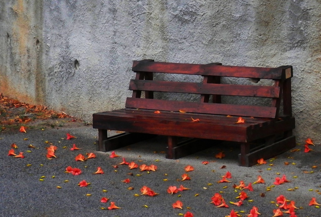 looking the free way