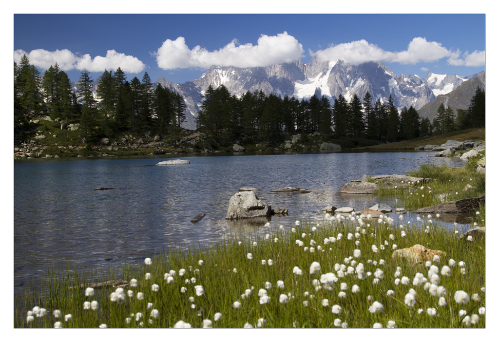 Grandes Jorasses dal lago d'Arpy