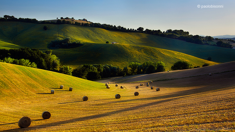 ...and you do not play?