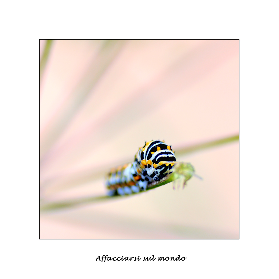 Affacciarsi sul mondo...