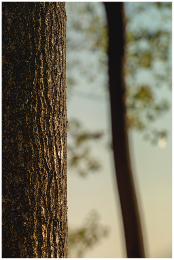 Scorgendo l'autunno...