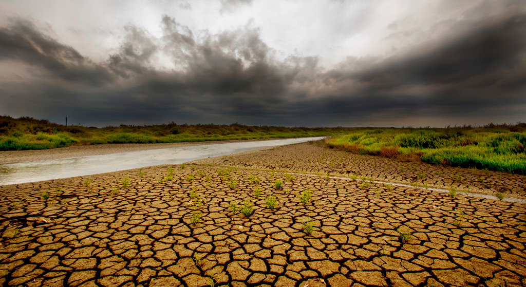 Paesaggio in Camargue