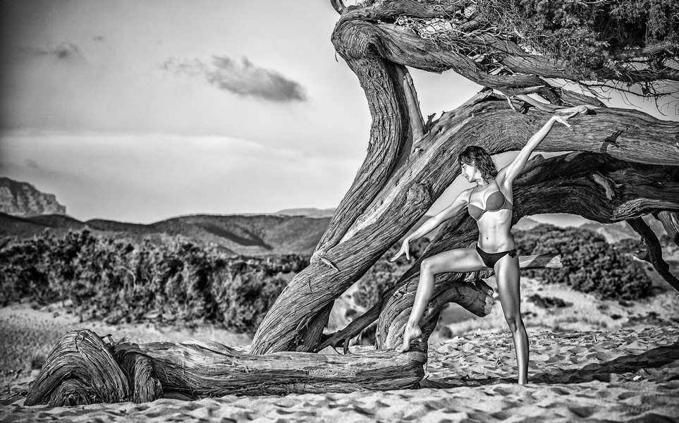 New gymnastic project