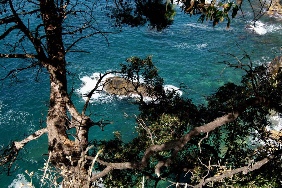 Sfondo 5 terre..acqua terra