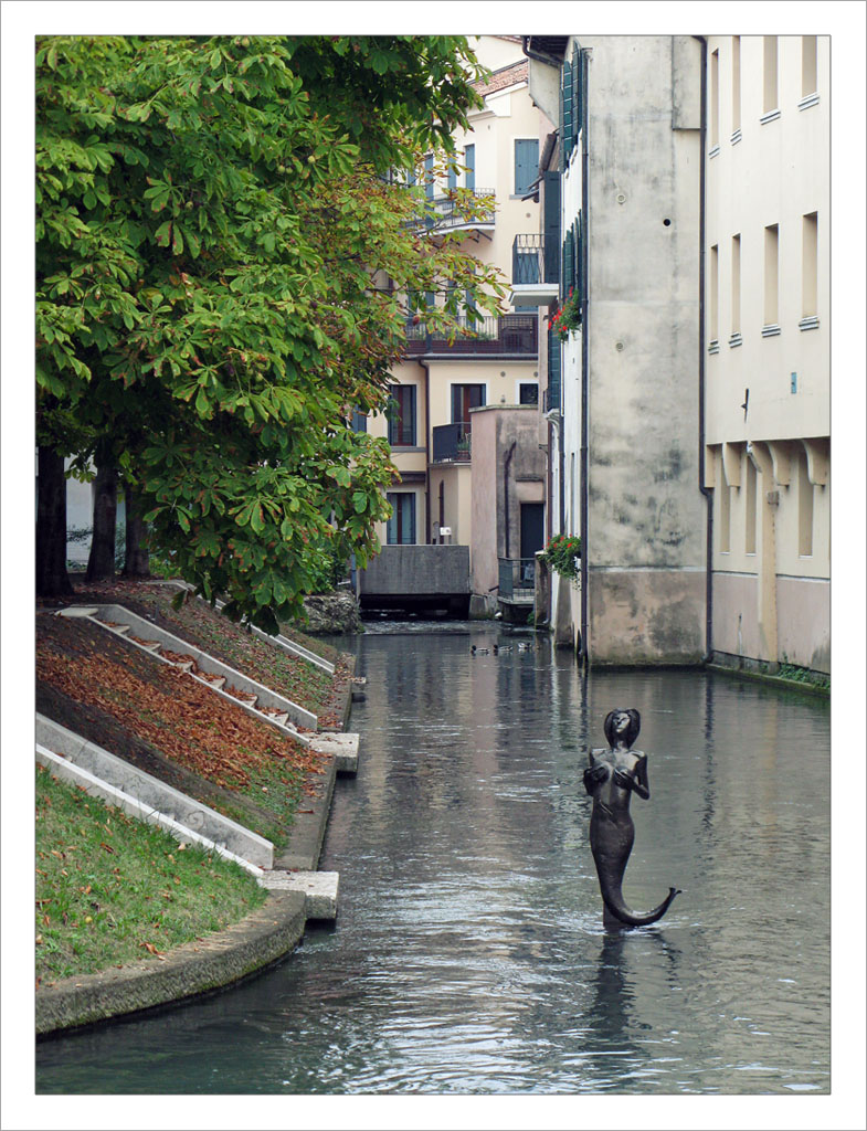 Nei canali di Treviso