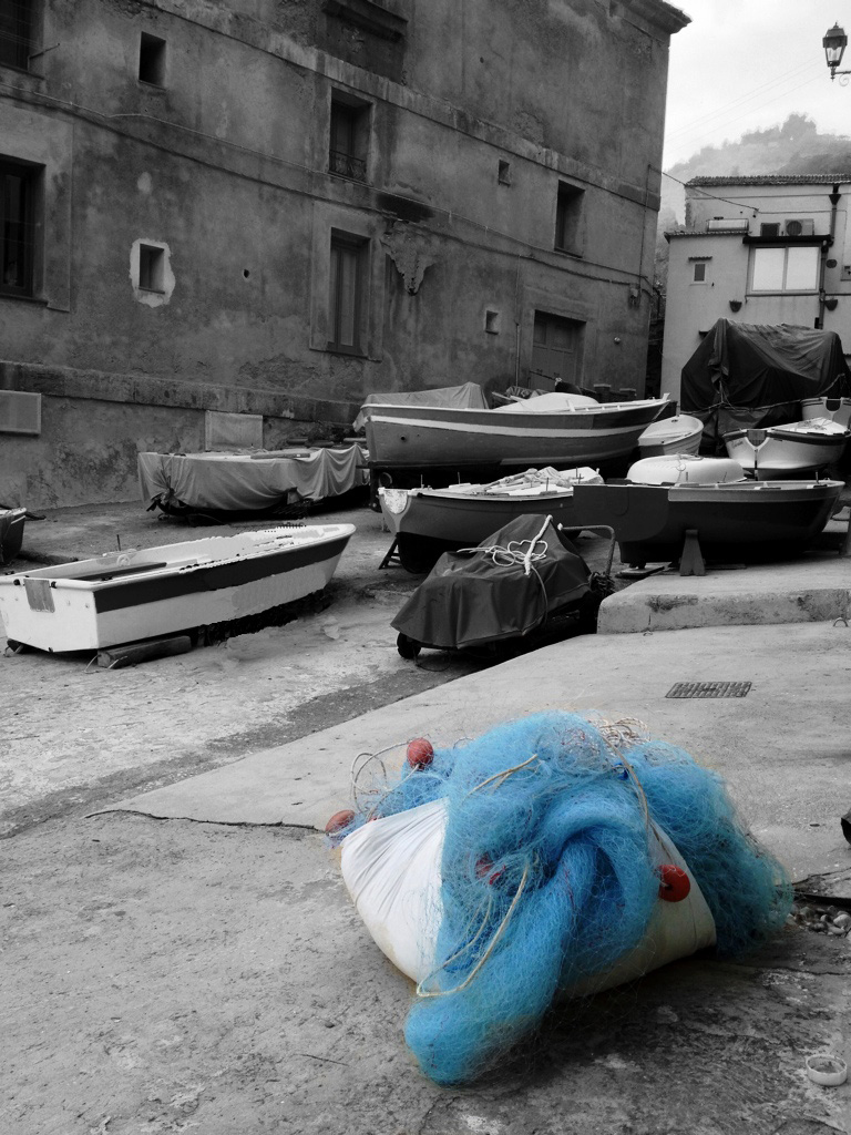 colore...in un mondo grigio