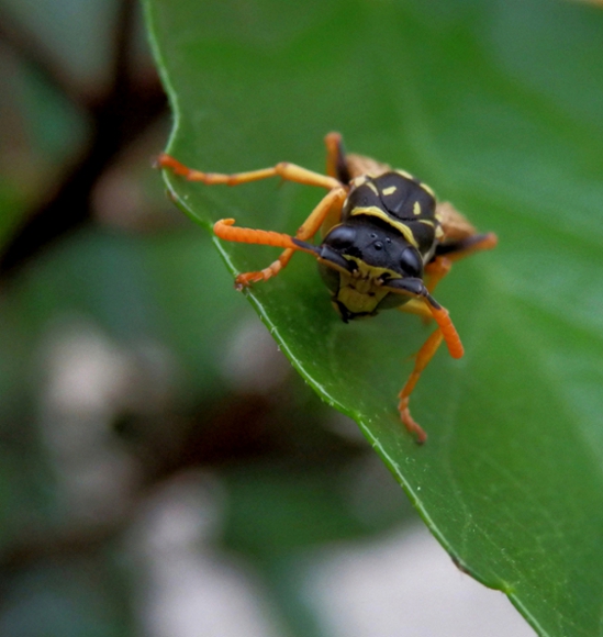 Vediamo un po sotto.