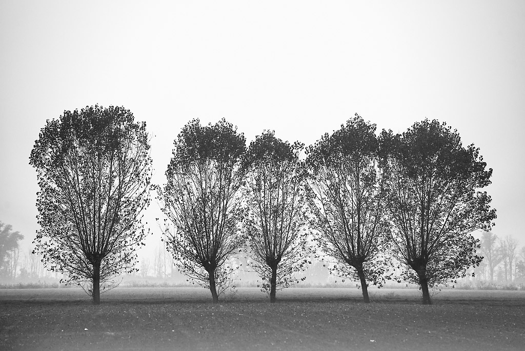 ***
