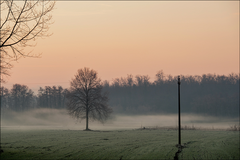L'odore dell'aria...