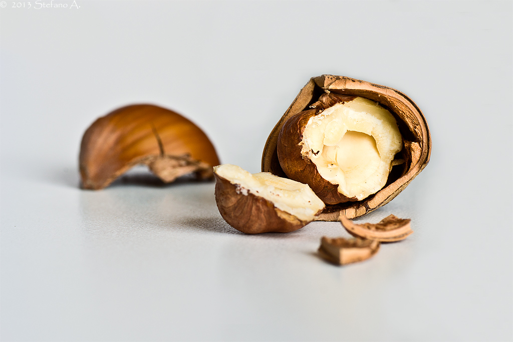 Nocciole_1