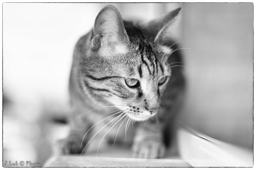 ... a te che sei ... semplicemente sei (2)...