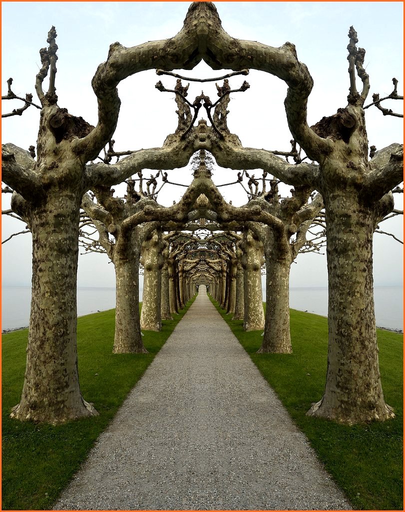 Specchio delle mie brame.....