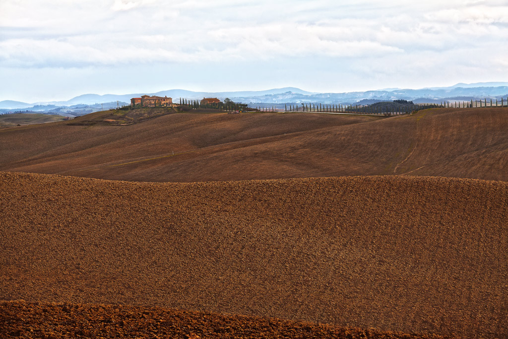 "Terre" Toscane1