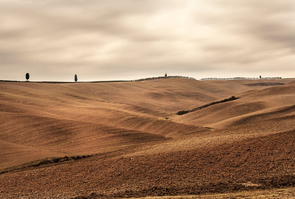 "Terre" Toscane2