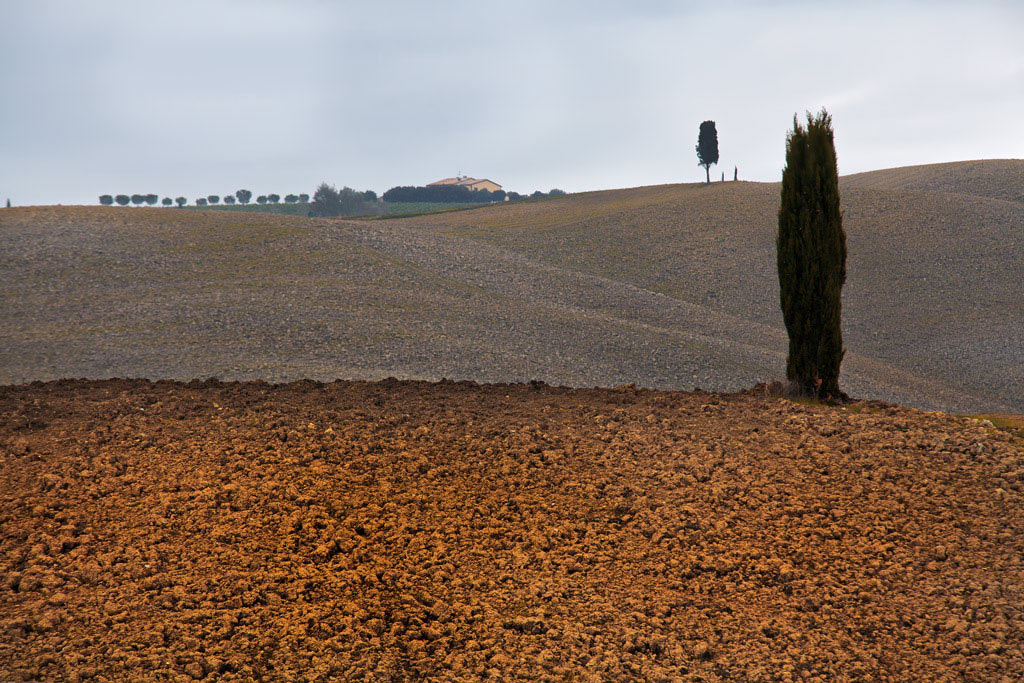 "Terre" Toscane3