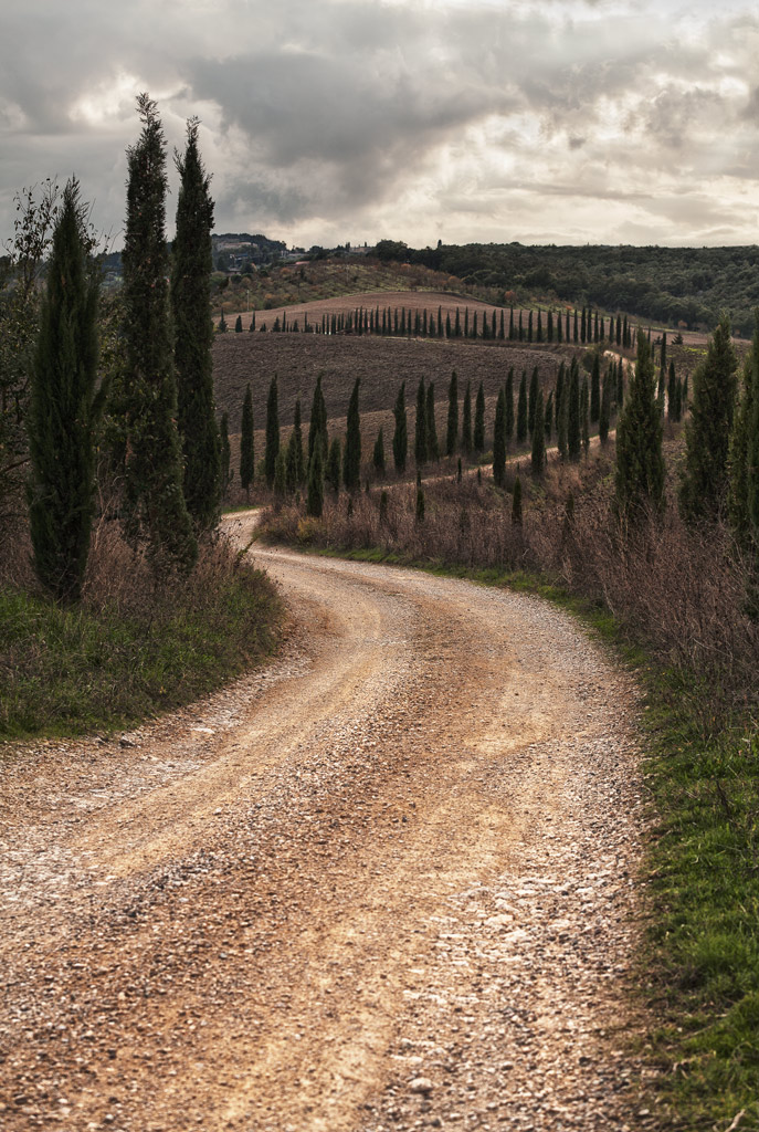 "Terre" Toscane5