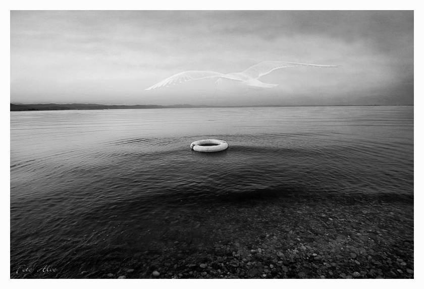 Le Anime Dimenticate