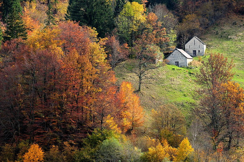 La Valle dei Pittori