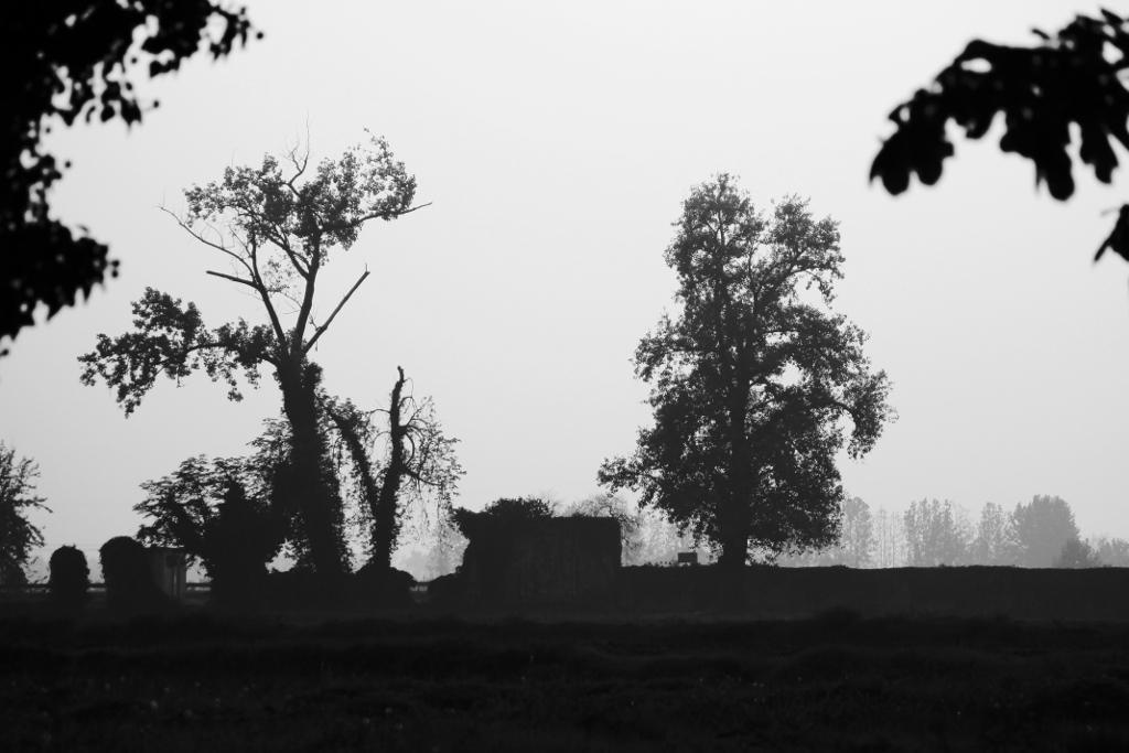 autunno in bianco e nero