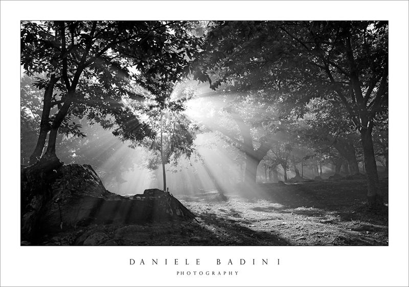 raggi di sole in bn