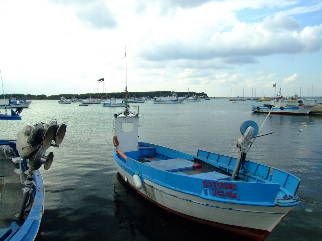 Prima della burrasca