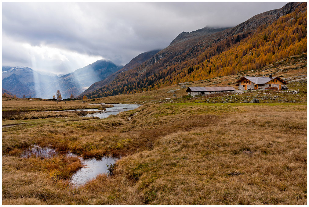Lo sguardo del Divino.