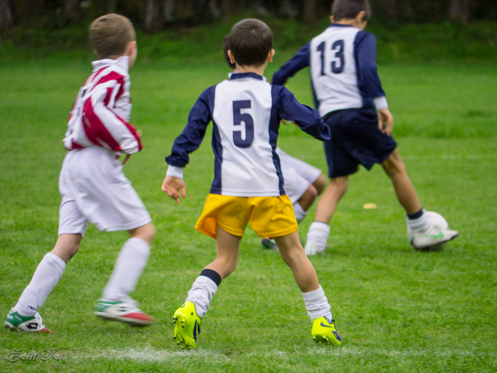 Calciatori... in erba
