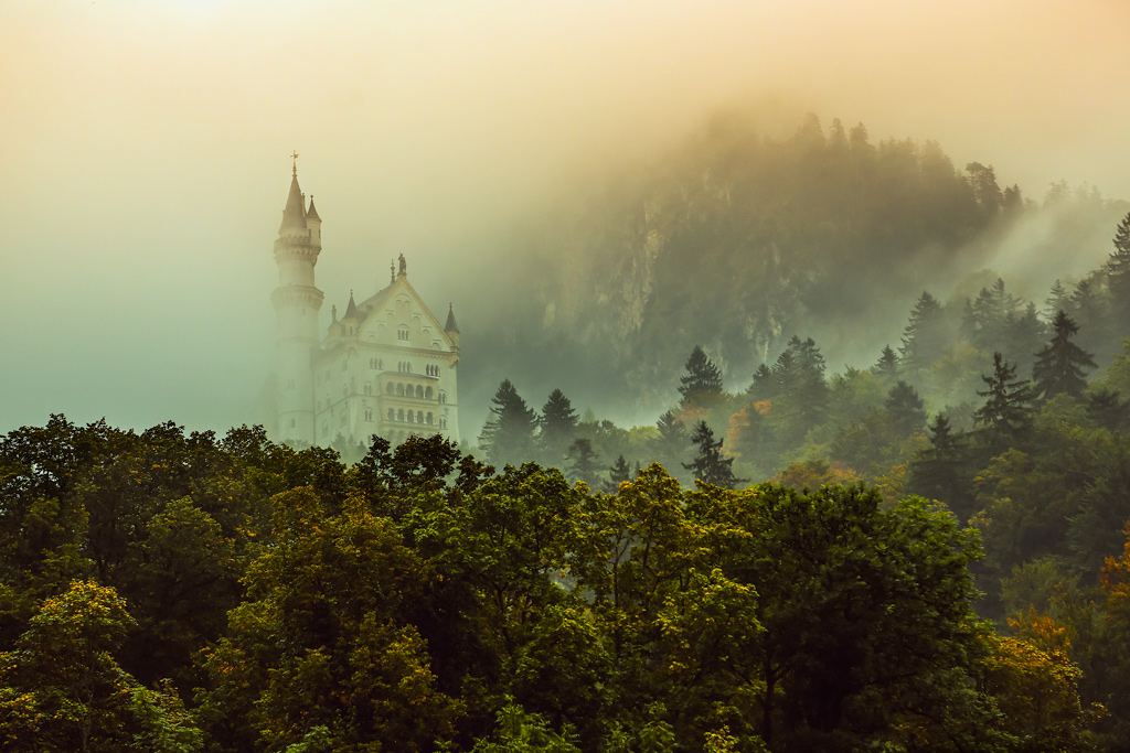 Cenerentola non abita pi� qui