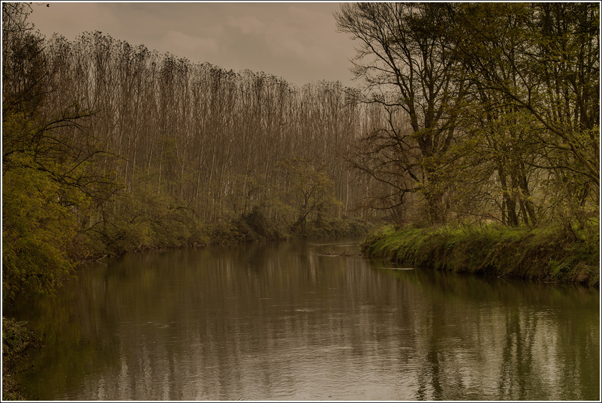 I rami...nello scorrere lento.