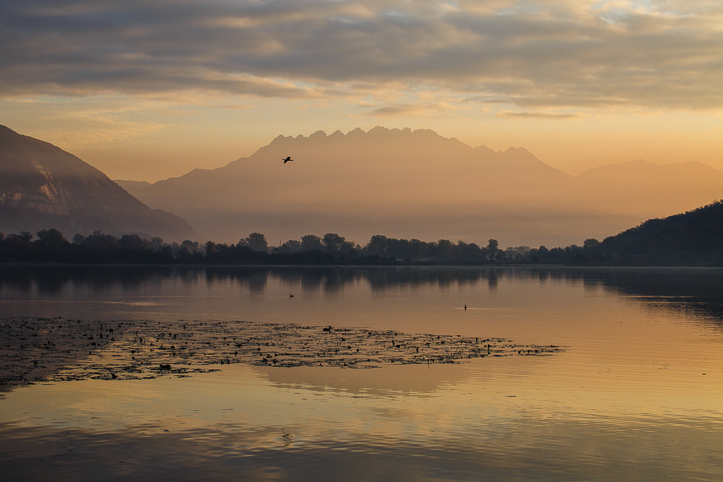 Alba sul lago di Alserio