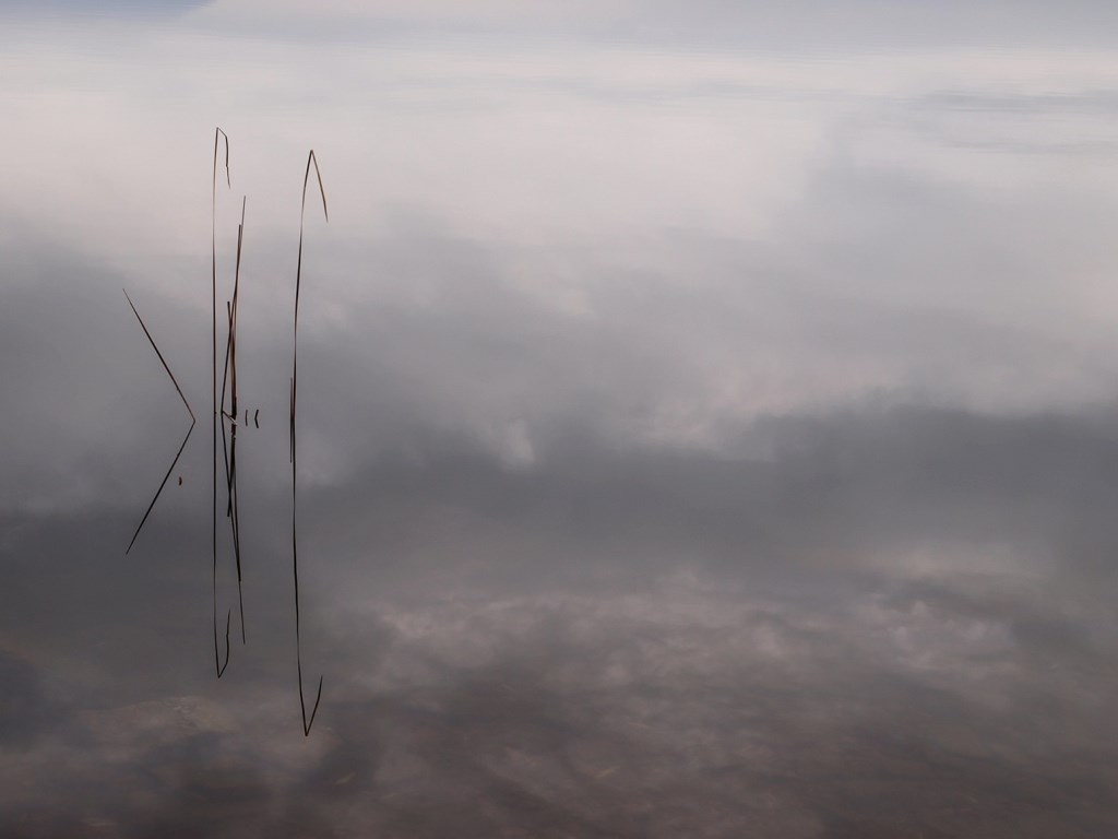 50 sfumature di grigio