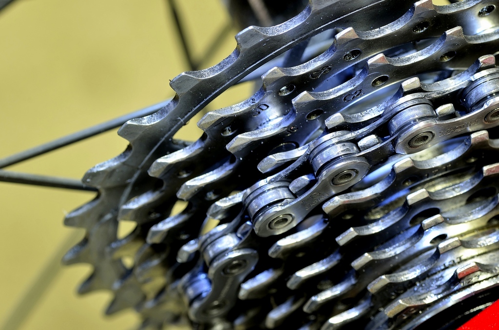 Stainless steel teeth